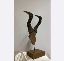 Antelope Horns - Antelope - 25 cm - 17 ст - 72 ст - (1) 2009 - South Africa Antilope horns 72 × 25 cm 4 kg Made of special wood, disassembled.