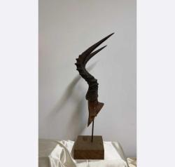 Antelope Horns - Antelope - 25 cm - 17 ст - 72 ст - (1) 2009 - South Africa Antilope horns 72 × 25 cm 4 kg Made of special wood, disassembled.