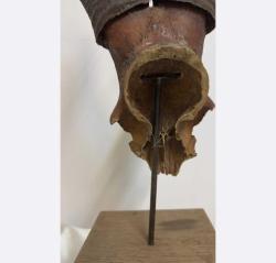 Antelope Horns - Antelope - 25 cm - 17 ст - 72 ст - (1) 2009 - South Africa Antilope horns 72 × 25 cm 4 kg Made of special wood, disassembled.