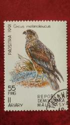 LOT.6 » 1991 YILI MADAGASKAR ŞAHİN  DAMGALI ŞARNİYERSİZ