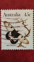 1981 YILI AVUSTURALYA KELEBEKLER   DAMGALI ŞARNİYERSİZ