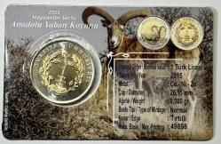 2015 Anadolu Yaban Koyunu Hayvanlar Serisi 1 TL Hatıra Bimetal Para Kartlı Koleksiyonluk