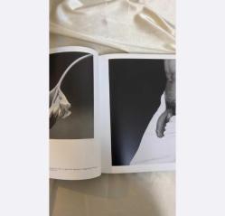 Robert Mapplethorpe - Robert Mapplethorpe - 2014 Photography, Art - Quantity: 1 - Book