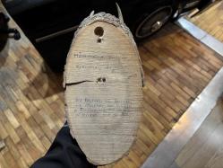 dağ keçisi trofesi - toplam 45 cm boyunda.