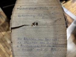 dağ keçisi trofesi - toplam 45 cm boyunda.