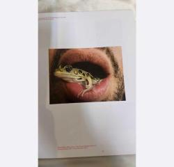 leg, snails and peaches