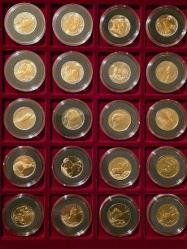 Bimetal Hayvanlar Seti - Kapsül ve Leuchtturm Pleksi içinde 20li Bimetal Hayvanlar - Çil