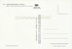 Bursa Mustafakemalpaşa - Balıkesir Caddesi, Bursa Caddesi, Baraj, Köprü ve Heykel Çok Parçalı / Keskin Color - Orhan Özçakıcı