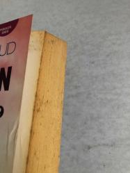 Rüyaların Yorumu 2