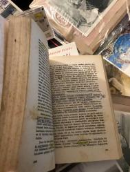 felsefe nedir - karl jaspers