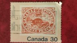 LOT.7 » 1982 YILI KANADA  Kanada 82