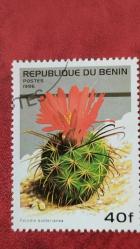 LOT.4 » 2000 YILI BENİN KAKTÜS ÇİÇEKLERİ  DAMGALI ŞARNİYERSİZ