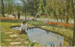 İstanbul - Boğaziçi, Emirgan Korusu / Tuna Kartpostal