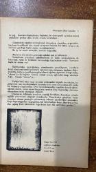 ADAM SANAT DERGİSİ -SAYI : 25 – ARALIK 1987  MEMET FUAT – BERNA MORAN – MEHMET H. DOĞAN – JOHN BERGER – J.M. COETZEE – AYDIN ÜLKEN – TIMUR SELÇUK – JOSEPH BEUYS – BASTIAN – SIMMEN – TAHİR ABACI – HİLMİ BÜYÜKŞEKERCİ – SABAHATTİN KUDRET AKSAL – TALİP APAYDIN – ERCÜMENT UÇARI – CEVAT ÇAPAN – ÖZDEMİR İNCE – METİN ALTI OK – FİKRET DEMİRAĞ – ATAOL BEHRAMOĞLU – REFİK DURBAŞ – ERDAL ALOVA – AHMET ERHAN – KÜÇÜK İSKENDER – ALİ ASKER BARUT – ALICE WALKER – TURGAY FİŞEKÇİ – AYDIN ÜLKEN  OKUMAYAN OKUR YAZARLAR – KURT KANUNU – ŞİİRİN KIYILARINDA – LEOPARDI – KUDÜS ÖDÜLÜ KONUŞMASI – BİR RESİM SERGİSİNE FRAGMAN – NAZIM’I BESTELEMEK – SÖZ İSTEYEN BİRİ – KLASİK TÜRK MÜZİĞİ İLE… – HASAN İZZETTİN DİNAMO – ŞİİR – KAPAK -   - 80 SAYFA