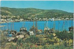 Halicarnasus Bodrum - Limandan Bir Görünüş / Ticaret Kartpostalları