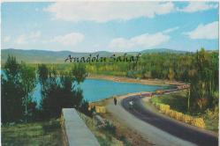 Van - Edremit Koyu / Keskin Color