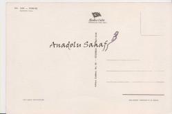 Van - Edremit Koyu / Keskin Color