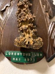 1971 tarihli oymali plaka üzerindeki antik boynuz