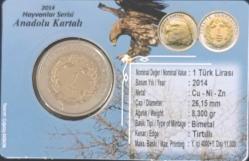 @@ 2014 Anadolu Kartalı @@