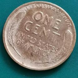 AMERİKA  1919     1 CENT   BUĞDAY  CENTİ