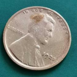 AMERİKA  1925     1 CENT   BUĞDAY  CENTİ