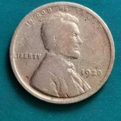 AMERİKA  1920     1 CENT   BUĞDAY  CENTİ