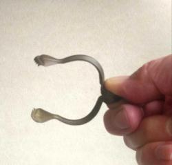 Antika Perde Klipsleri