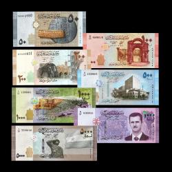 SURİYE (2009-2019) - 50, 100, 200, 500, 1.000, 2.000, 5.000 Pounds (7'li SET - ÇİL 10/10)