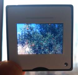 4 ADET DİA FOTOĞRAF LOTU LONDRA 1990'LAR ÇEKİM. KONDİSYON YÜKSEK KOLEKSİYONLUK NADİR (k)