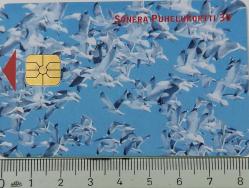 FİNLANDİYA SONERA PUHELUKORTTI 30 MK GÖÇMEN KUŞLAR TEMALI 2000 ÇİPLİ ORİJİNAL TELEFON KARTI 1 ADET ÇOK NADİR