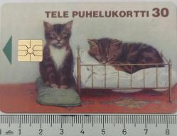 FİNLANDİYA TELE PUHELUKORTTI 30 MK KEDİ VE EVİ TEMALI 1996 ÇİPLİ ORİJİNAL TELEFON KARTI 1 ADET ÇOK NADİR