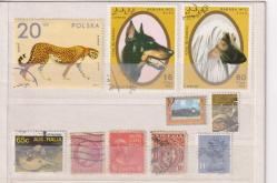 LOT.16 » DÜNYA PULLARI KARIŞIK LOT