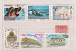 LOT.13 » DÜNYA PULLARI KARIŞIK LOT