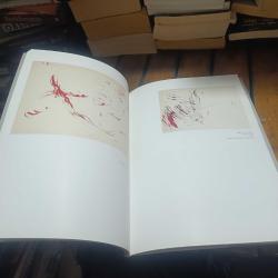 Mübin Orhon 1924- 1981 Ara Güler'den Mübin Orhon Önsöz : Abidin Dino