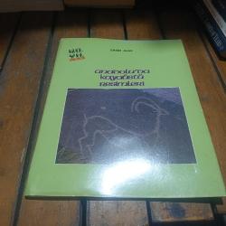 Anadolu'da Kayaüstü Resimleri