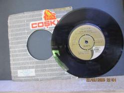 TAYFUN BİZİM SON GECEMİZ / KİM SİLECEK BU YAŞLARI 45 DEVİR PLAK