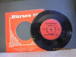 ÖZDEMİR ERDOĞAN UZAKLAŞMA BENDEN ÖYLE / DUYDUK DUYMADIK DEMEYİN 45 DEVİR PLAK