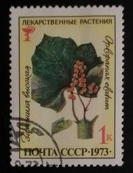 LOT.3 » 1973 RUSYA PULU