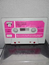 Kaset Hakkı bulut seven kıskanır albümü. Orijinal. Türküola 2047 Alman baskı. Kartoneti yok. Sorunsuz çalışıyor