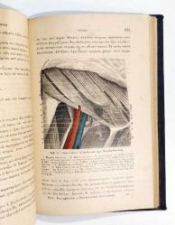 ΤΟΠΟΓΡΑΦΙΚΗ ΑΝΑΤΟΜΙΚΗ ΤΟΥ ΑΝΘΡΩΠΟΥ / İnsanın Topoğrafik Anatomisi