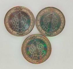 1 tl hatıra paralar lotu Çanakkale Köprüsü Ayasofya cami Gazilik