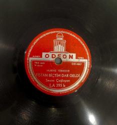 LOT.7 » Sevim Çağlayan Fistan Biçtim Dar Geldi Nadir Taş Plak