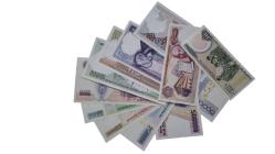 7.EMİSYON 12 Lİ TAKIM ÇİL