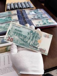 8. Emisyon 20 YTL Çil D seri