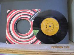 NADA UN RODRINE BIANCA / MA CHE FREDDO FA 45 DEVİR PLAK