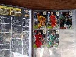 PANİNİ 2014 DÜNYA KUPASI ALBÜM + 5 HEDİYE BASE KART