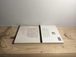 GENÇ WERTHER'İN ACILARI (Ayraçlı)