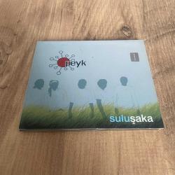 Peyk - Suluşaka Cd ( Çizik yoktur - Çok iyi kondüsyonda )