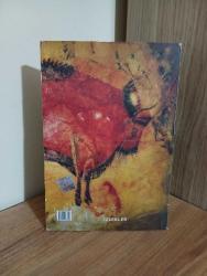 IŞIK VE RENK Özkan Eroğlu --