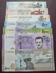 Suriye 7 li çil set